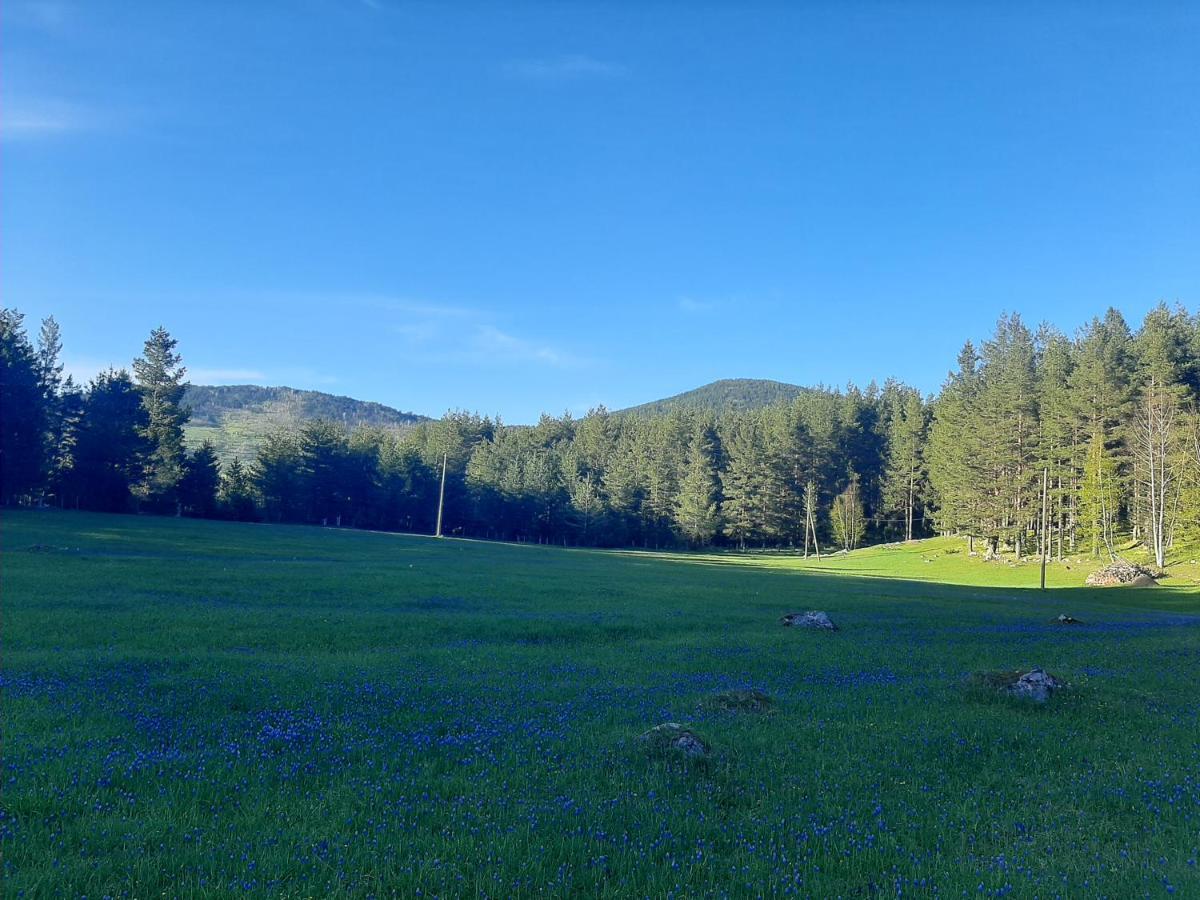 Villa Vikendica Borje à Žabljak Extérieur photo