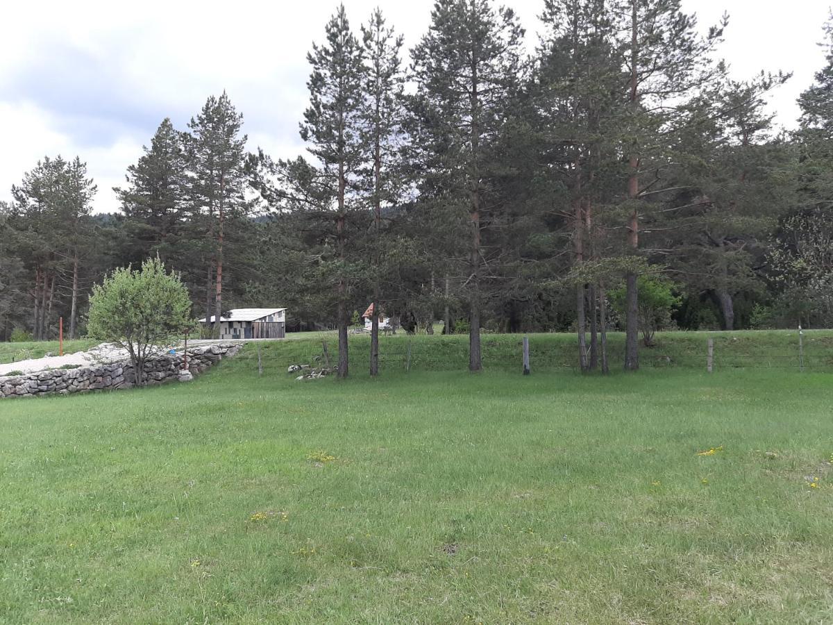 Villa Vikendica Borje à Žabljak Extérieur photo